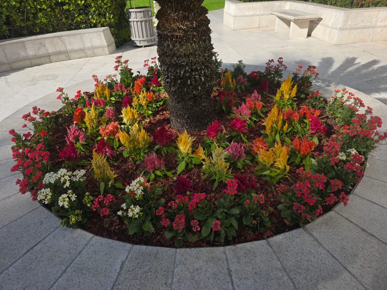jardin 2